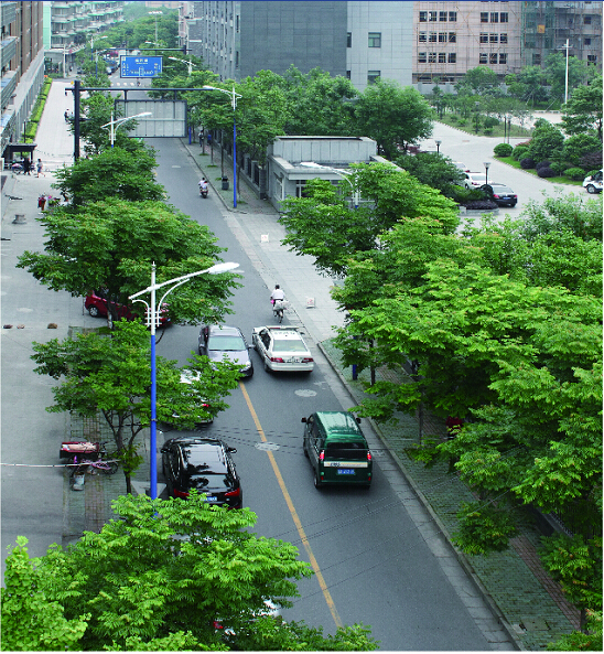 邱山大街